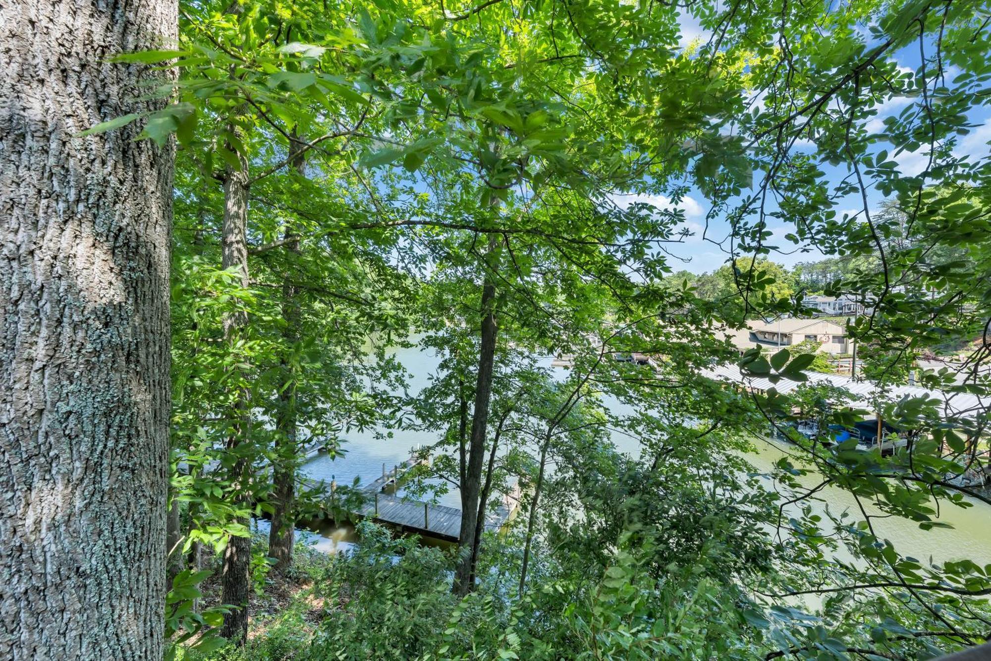 Halesford Harbour Resort - Smith Mountain Lake Moneta Екстер'єр фото