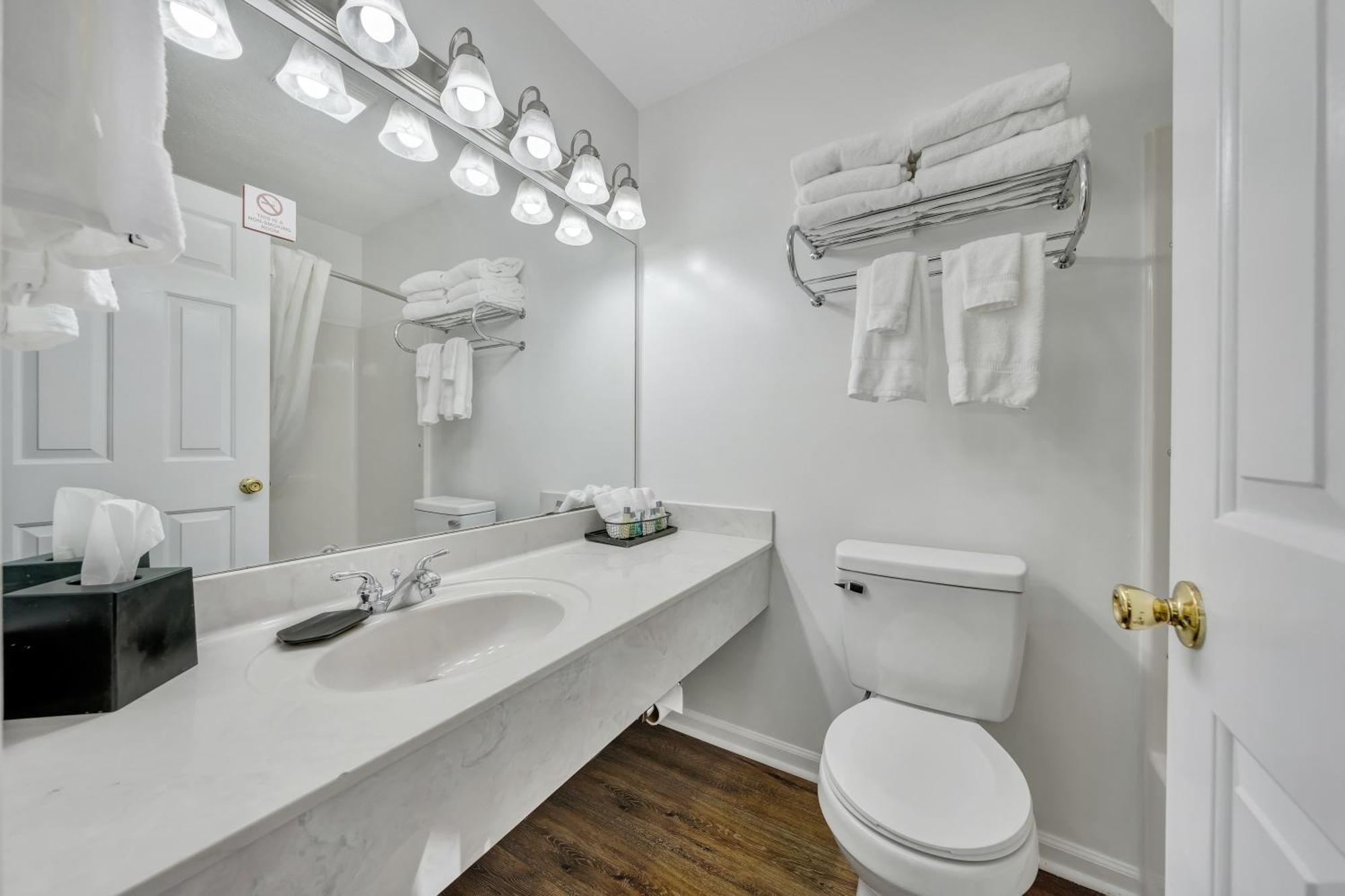 Halesford Harbour Resort - Smith Mountain Lake Moneta Екстер'єр фото